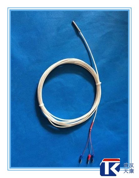補償導線式熱電阻/WZPT-104、025/pt100熱電阻